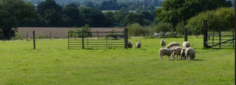 Hammonds Farm is now the preferred Option