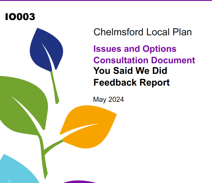 Issues and Options You Said We Did Feedback Report 2024