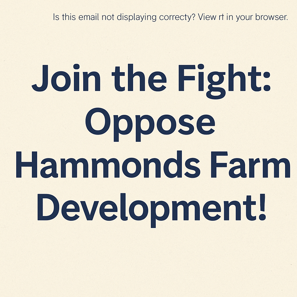 Campaign Newsletter – 03 March 2025